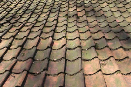 Roof Algae Removal in Maryland: How Soft Wash Cleaning Protects Your Shingles