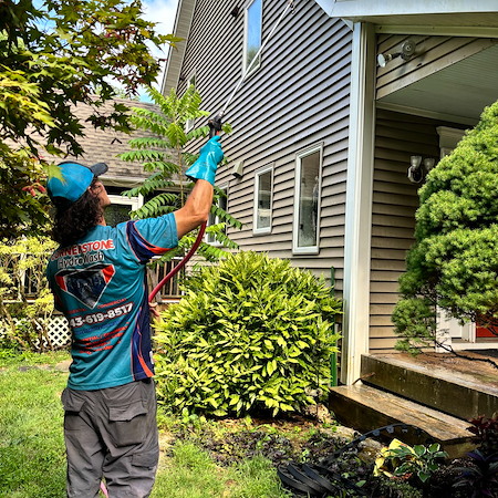 Soft wash house washing vs pressure washing whats safest for siding